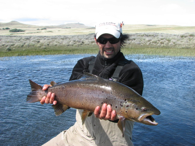 Big Browns from the Estancia del Zorro Spring Creek