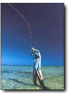 The bonefishing flats on the west coast of Andros Island