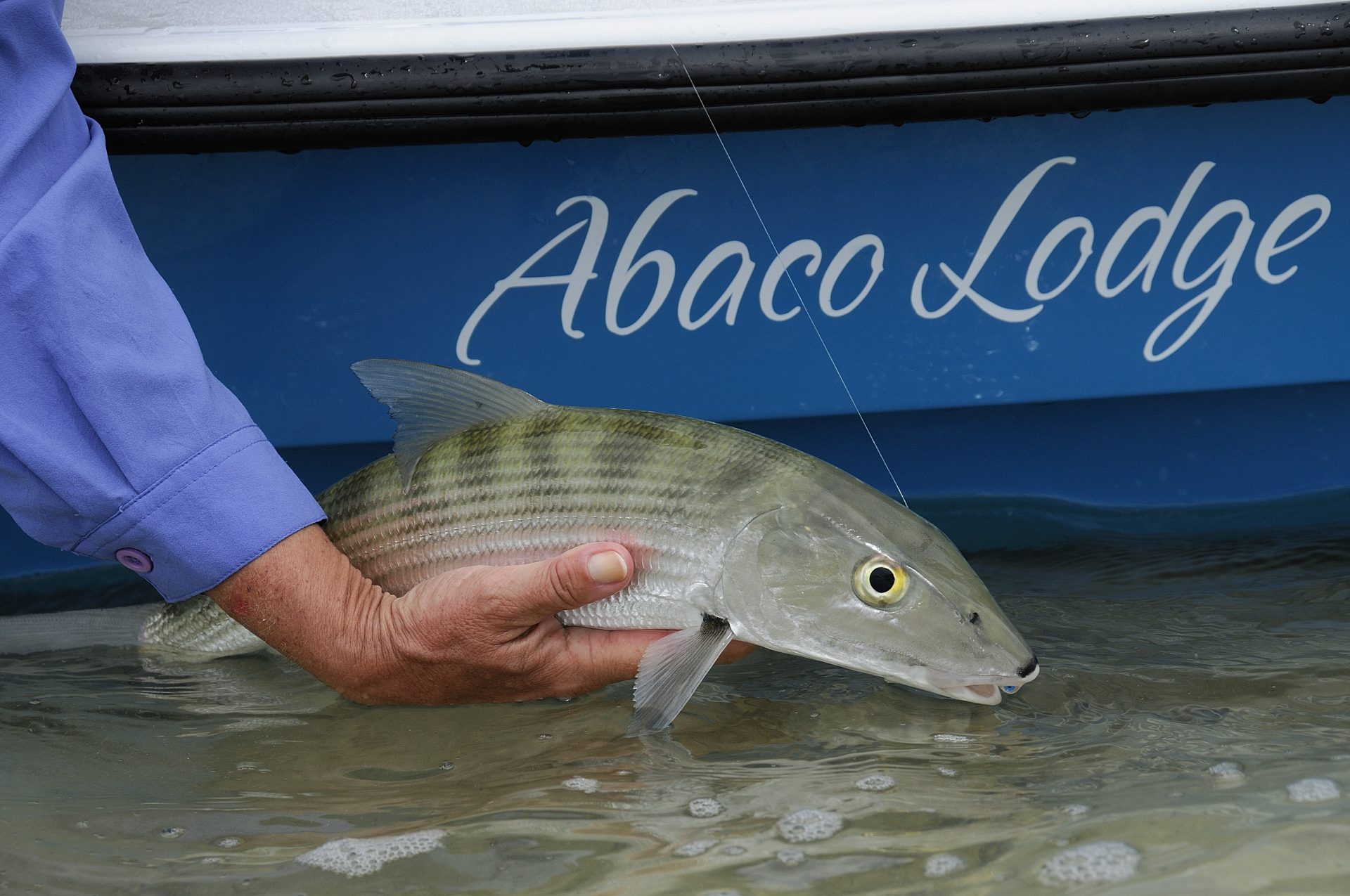 Abaco Lodge