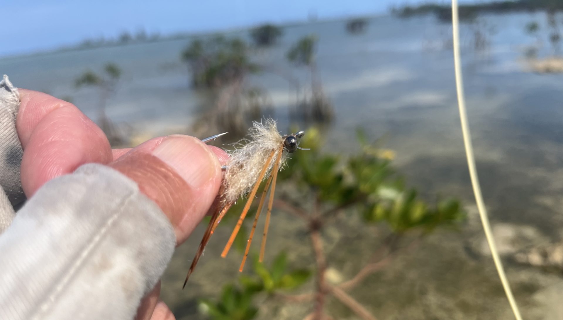 The safest way to hold your fly